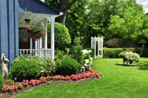 What To Look For When Hiring A Lawn Care Company