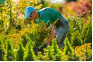 Choose The Best Landscape Contractor With These Five Tips