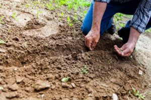 Landscape Design & Build Company in Fallston, Maryland