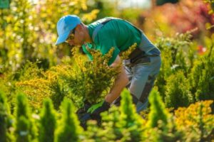 Landscape Design & Build Company in Phoenix, Maryland