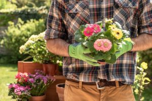 Landscape Contractor in Hunt Valley, Maryland