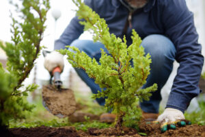 Best Landscape Contractor in Kingsville, Maryland