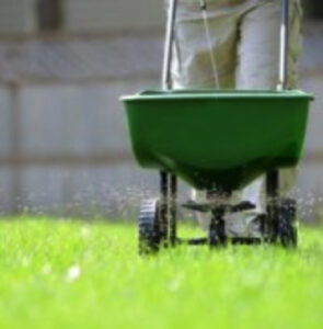Best Landscape Contractor in Cockeysville, Maryland