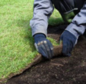 Residential Landscaping Companies Near Kingsville, Maryland
