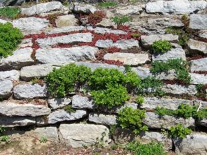 Retaining Walls in Fallston, Maryland