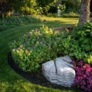 Landscape Elements in Towson, Maryland