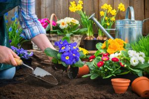 Landscape Elements in Lutherville-Timonium, Maryland