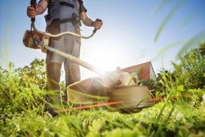 Residential Landscaping in Montgomery County, Maryland