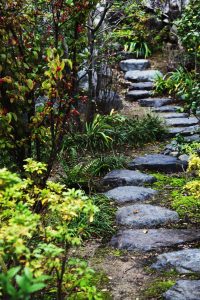 Landscape Contractor in Montgomery County, Maryland