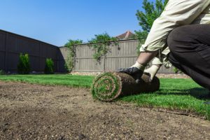Best Landscape Contractor in Montgomery County, Maryland